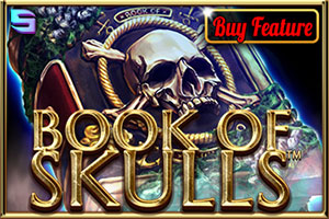 book_of_skulls